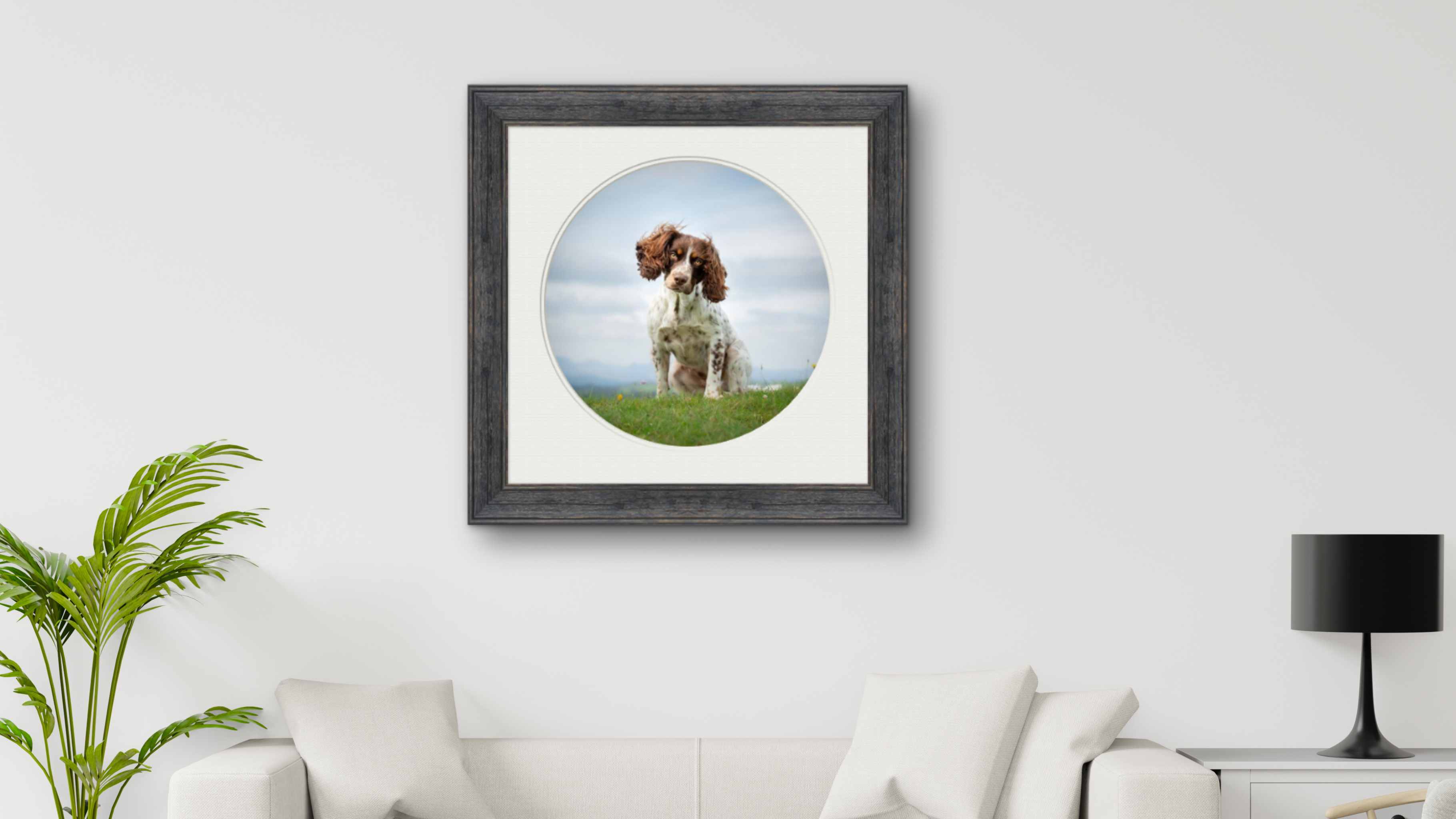 Framed Halo Print, Dibond Print, Framed Circular Print