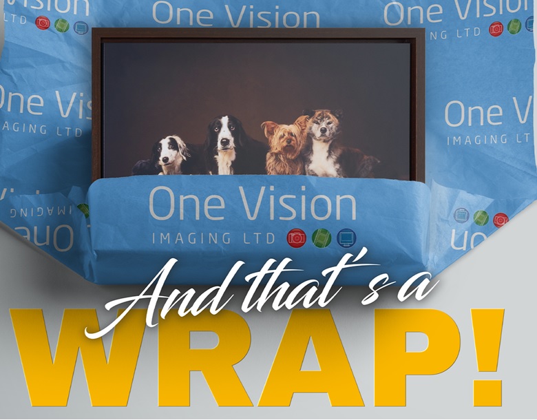 One Vision Imaging - Blog