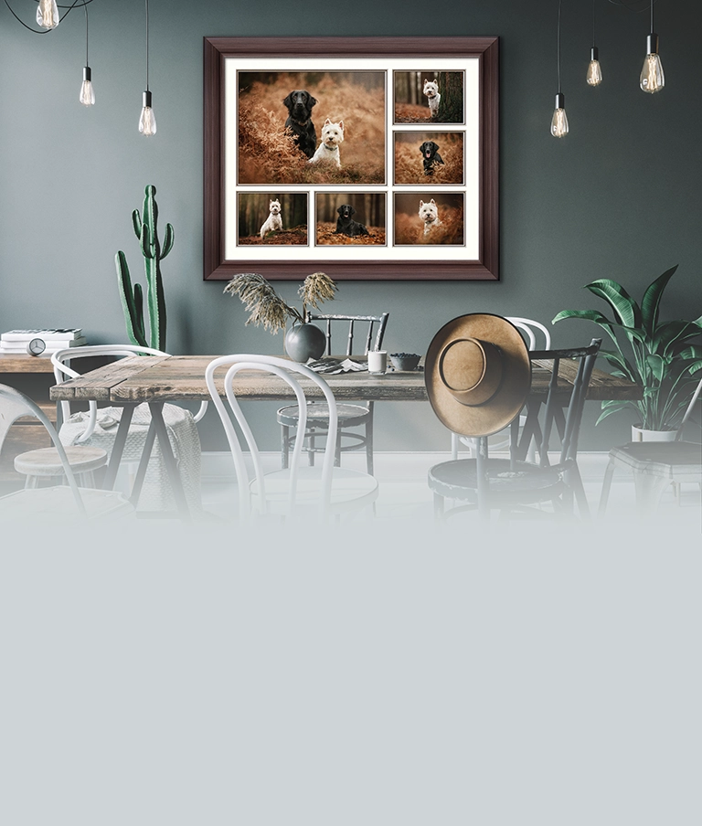 Exceptional Wall Display Products