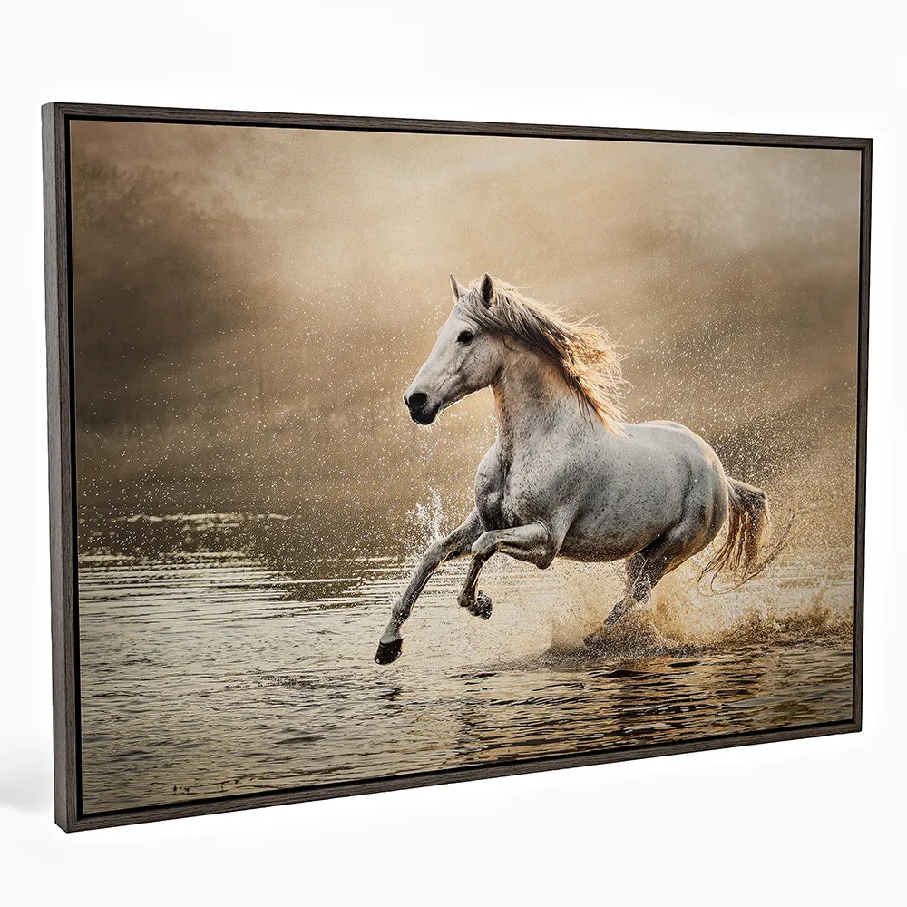 Dibond Tray Framed Photo Print