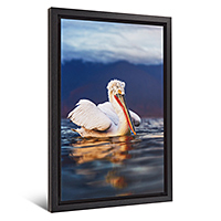 Framed Dibond Photo Print