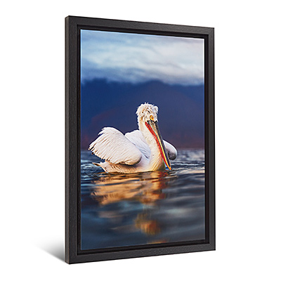 Framed Dibond Photo Print