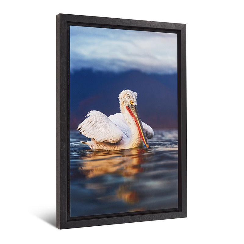 Framed Dibond Photo Print