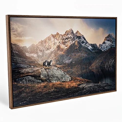 Acrylic Tray Framed Photo Print