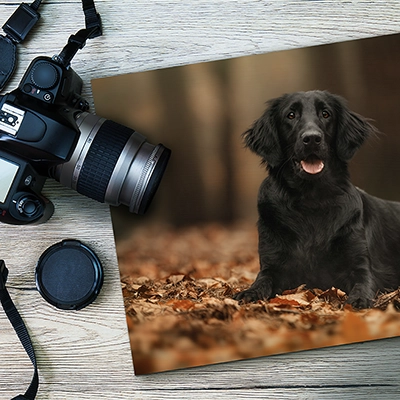 Professional C‑41 Photo Prints — Real Photographic Prints from a Pro Lab