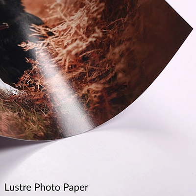 Professional C‑41 Photo Prints — Real Photographic Prints from a Pro Lab