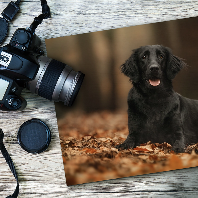 Professional C‑41 Photo Prints — Real Photographic Prints from a Pro Lab