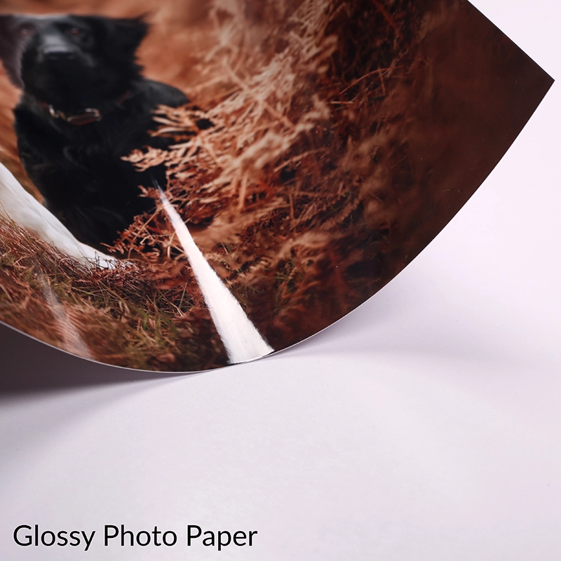 Professional C‑41 Photo Prints — Real Photographic Prints from a Pro Lab