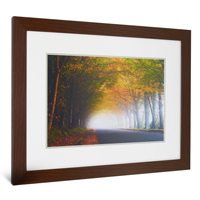 Framed Photo Print - Double Mounted