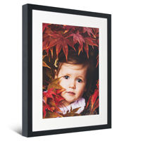 Multi-Aperture Framed Photographic Print