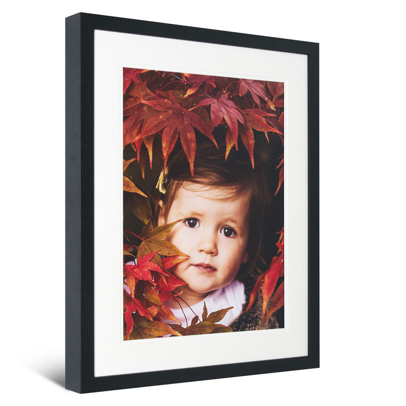 Multi-Aperture Framed Photographic Print