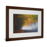 Framed Photo Prints