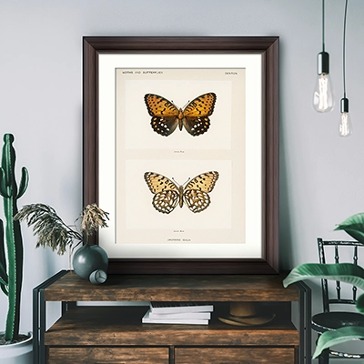 Fine Art ‘Giclee’ Prints