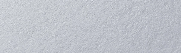 Portrait White Paper