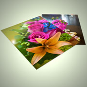 Metallic Photo Prints