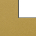 Metallic Gold Mount